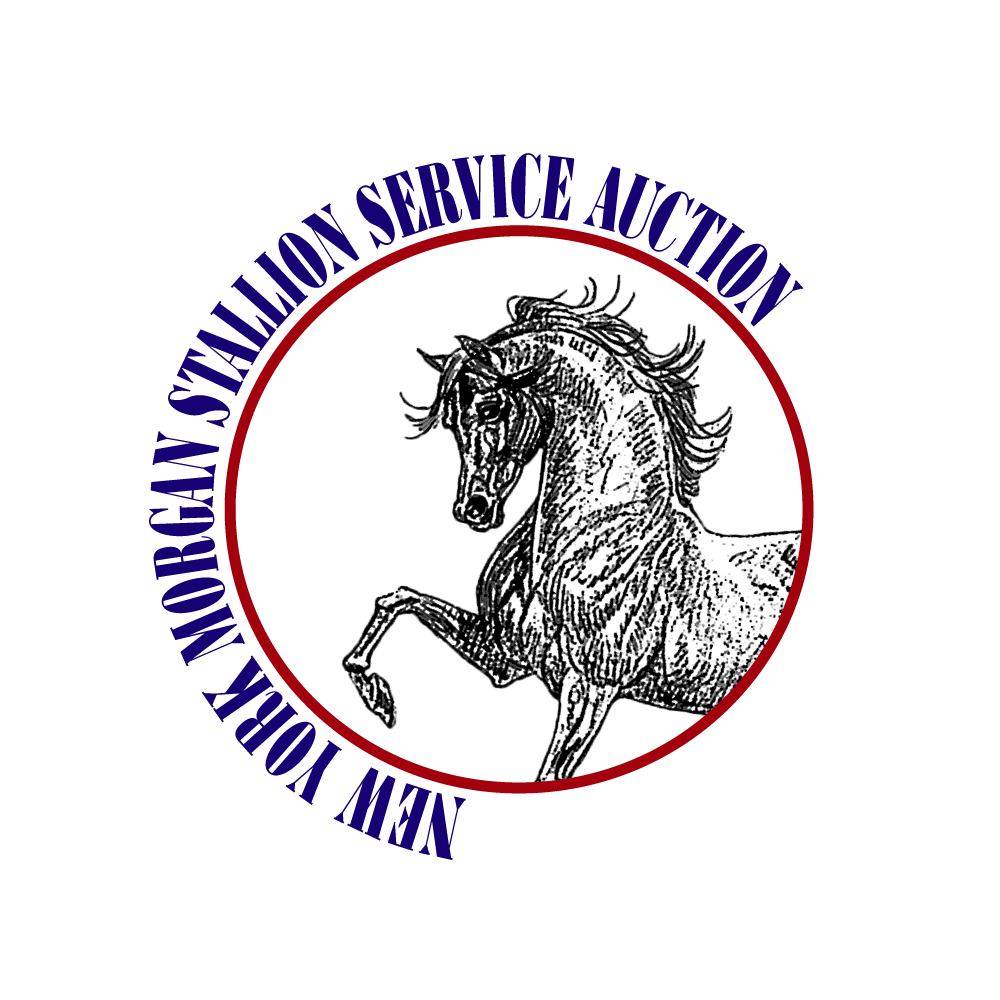 NYMHS Stallions
