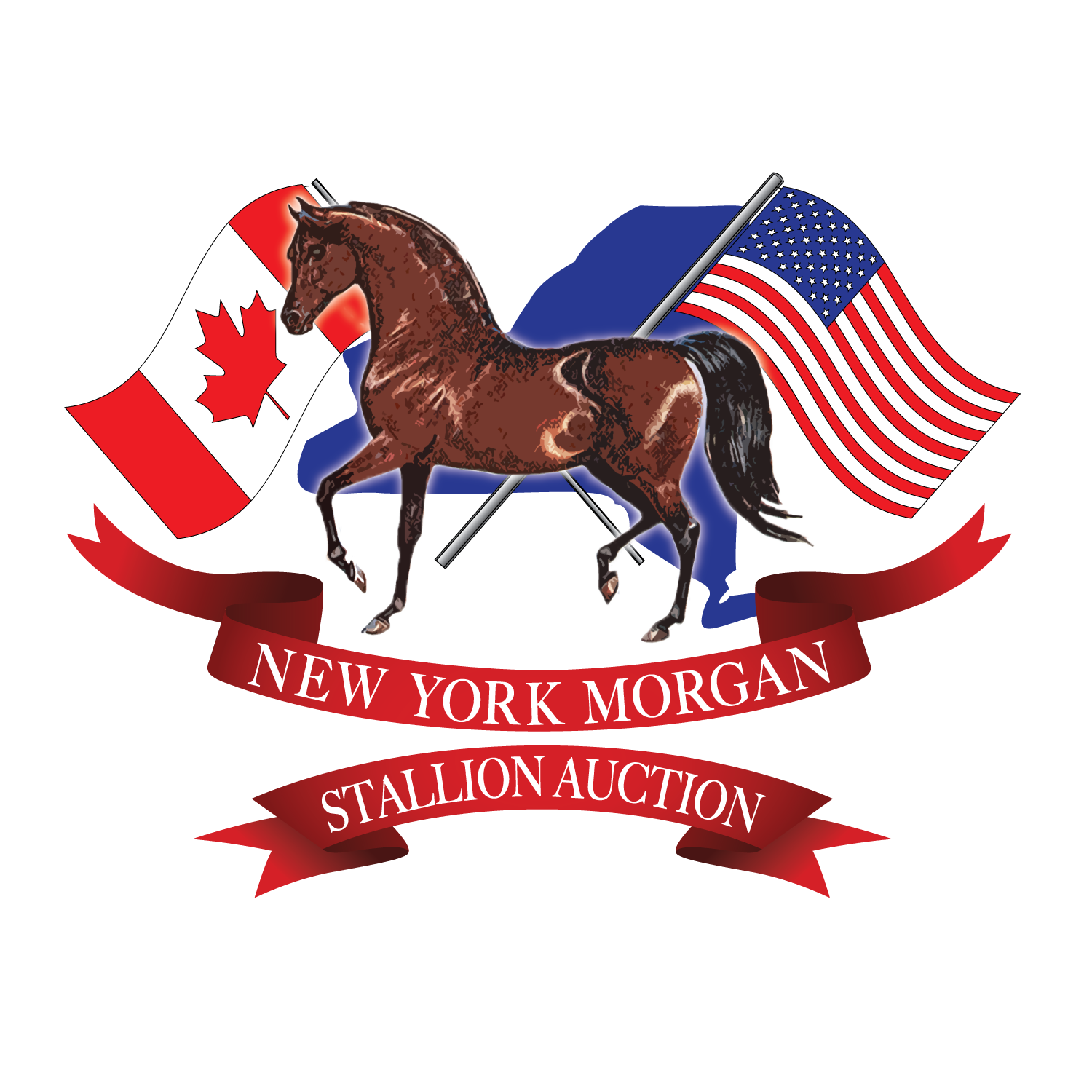 New York Morgan Stallion Auction