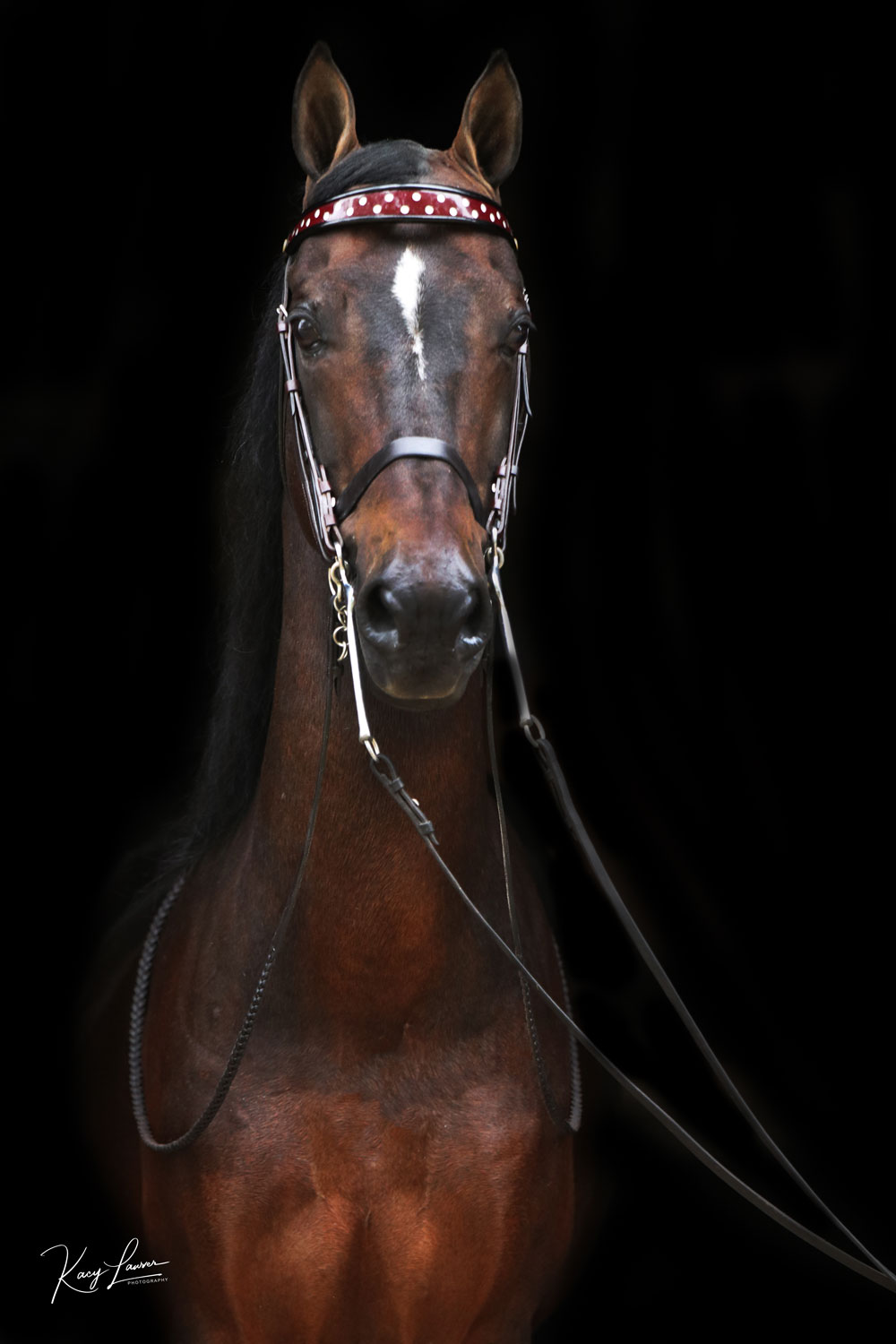 CBMF Crown Prince