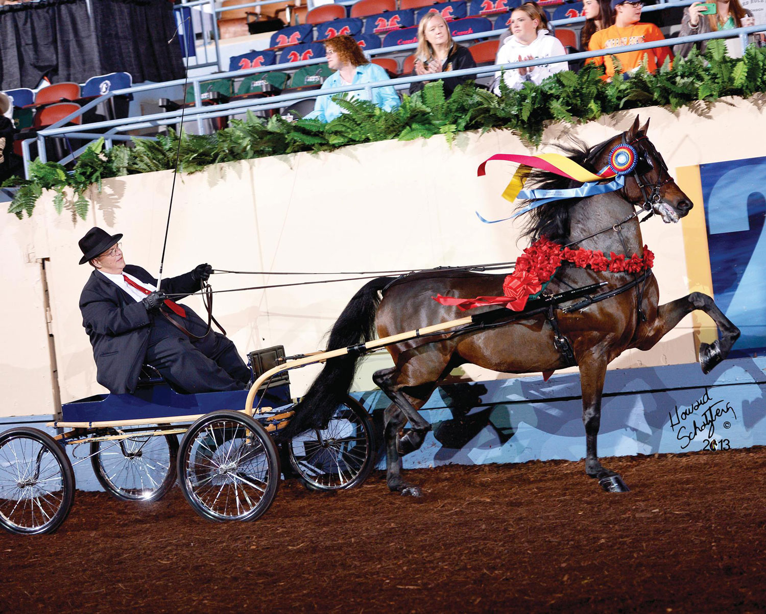 CBMF Crown Prince GCH