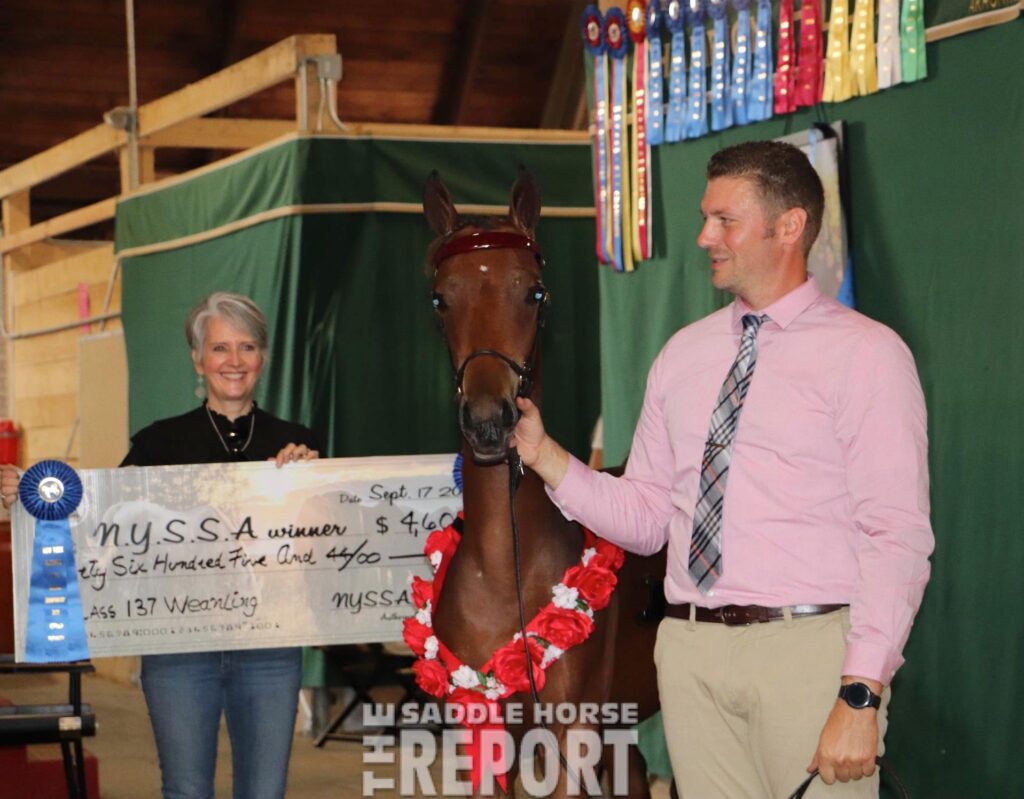 2021 NYSSA Sweepstakes Weanling Champion