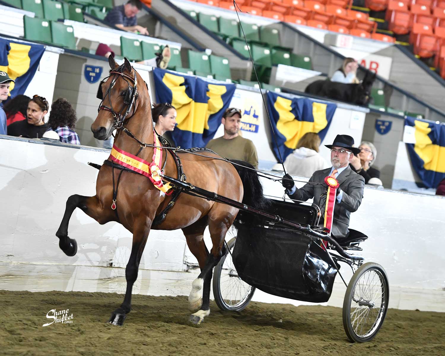 Brigantine - Image 15