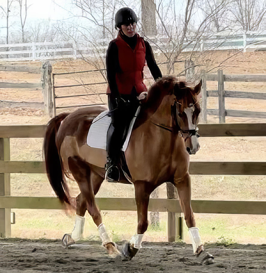 HD Rochester, by Canon