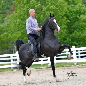 Queen's Sebastian GCH