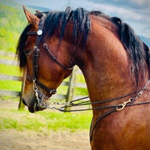 Townshend Mark The Date